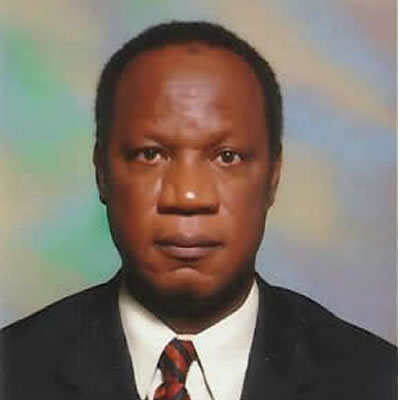 board member Professor Mobolaji Aluko image