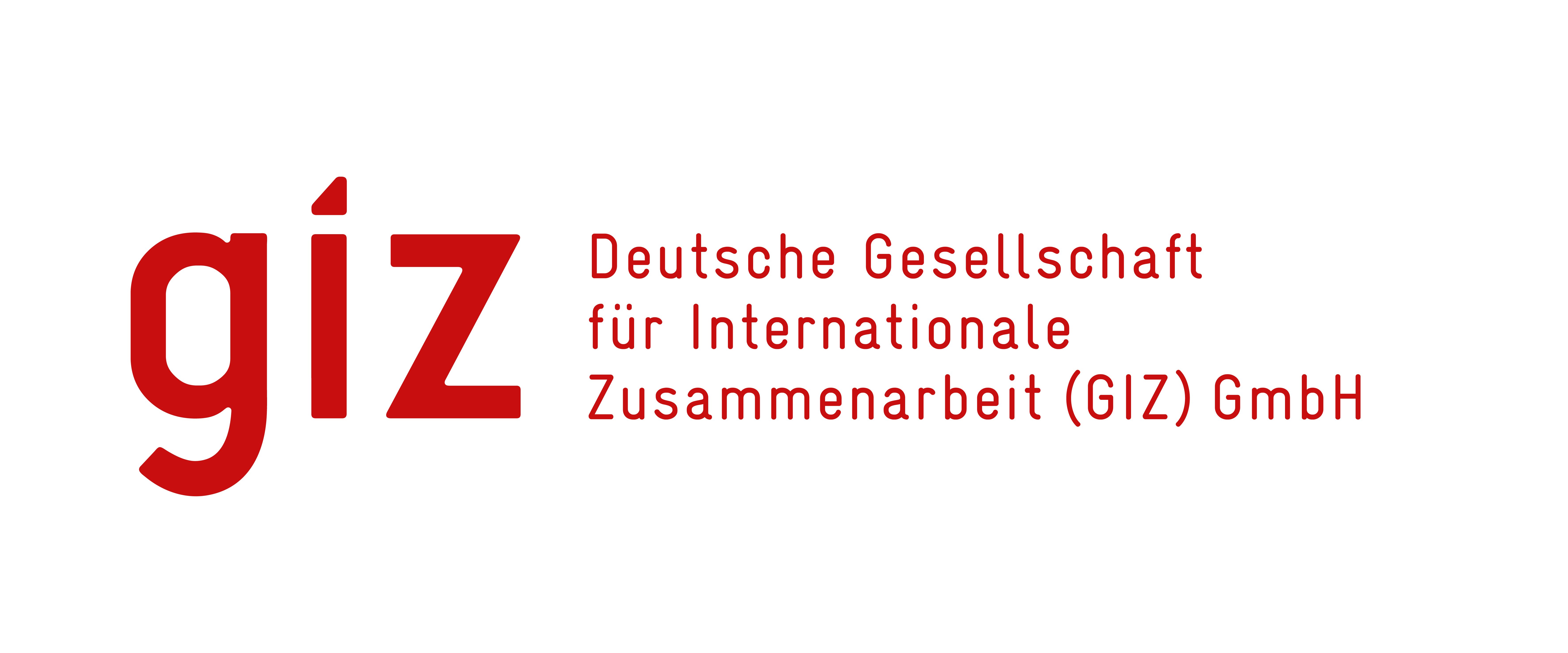 giz logo icon